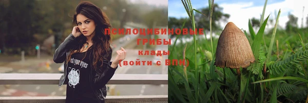 дживик Белокуриха