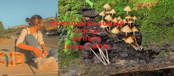 дживик Белокуриха