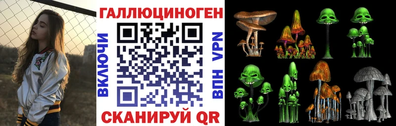Галлюциногенные грибы Psilocybe  Красновишерск 